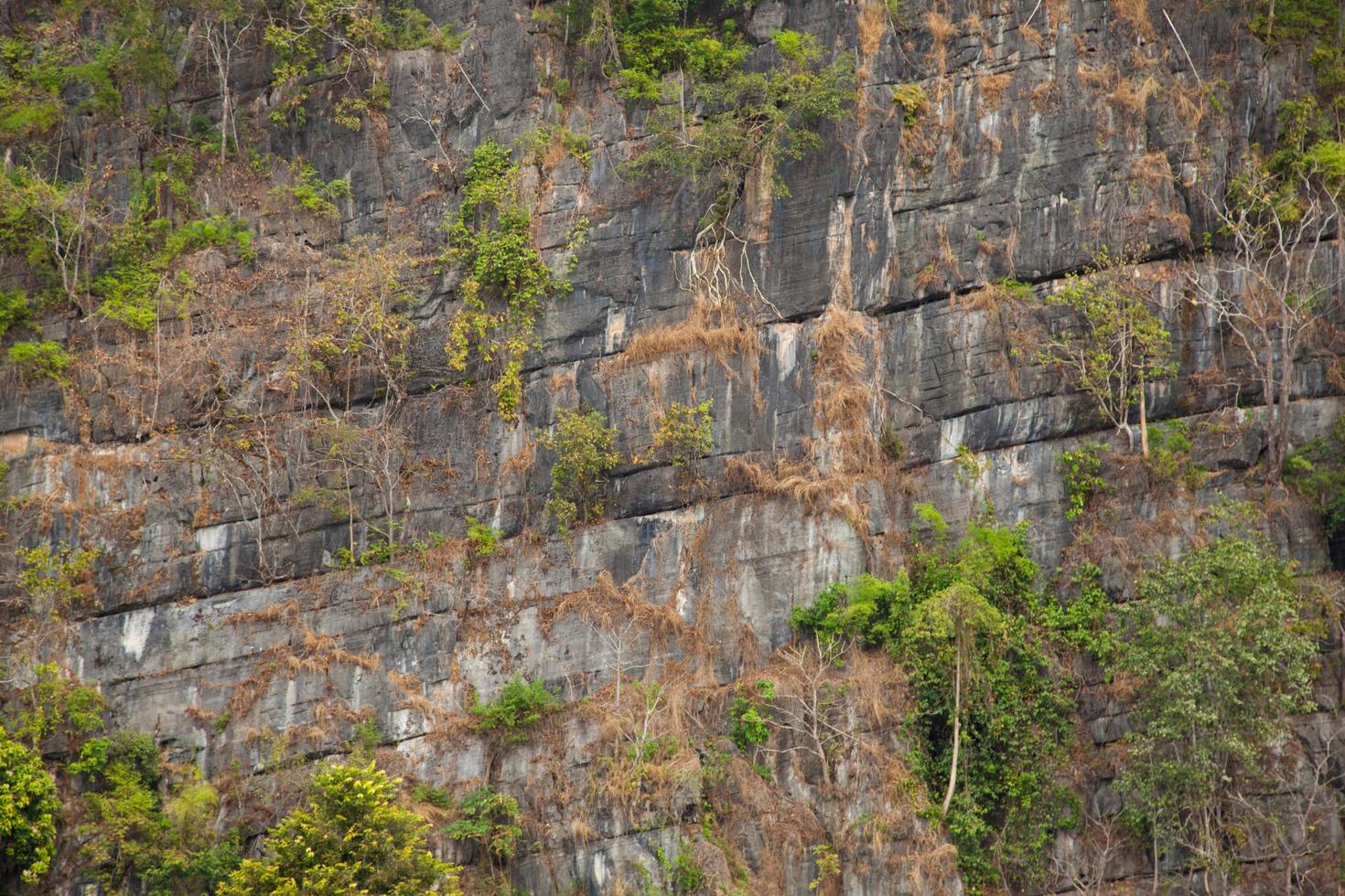 grande paroi rocheuse photo