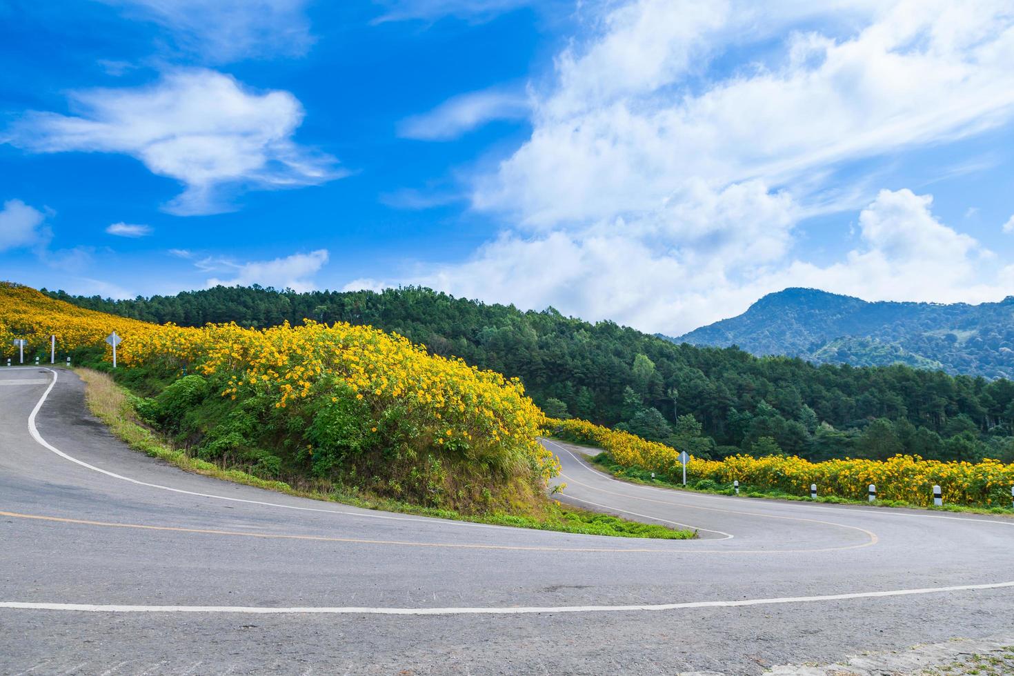 route sur une montagne photo