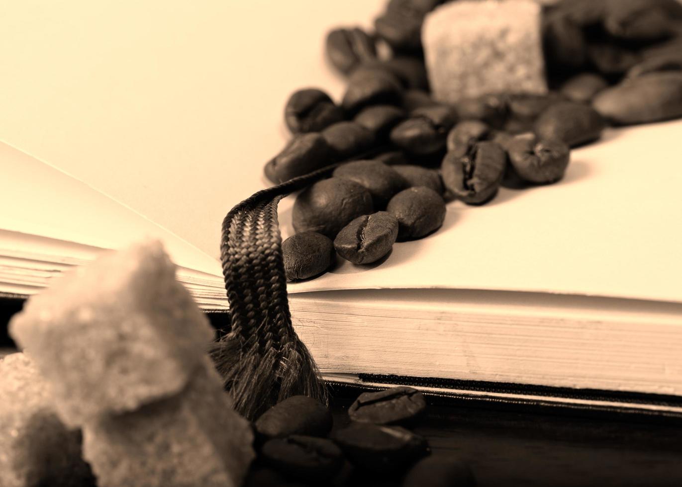 grains de café sur livre photo