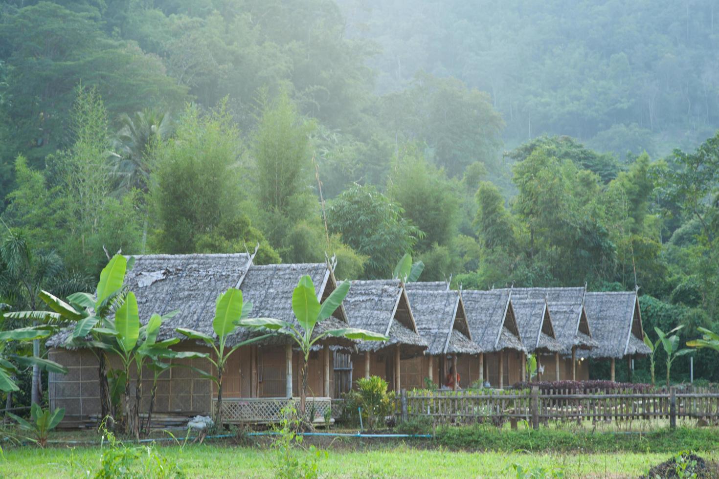 cabanes dans la forêt en thaïlande photo