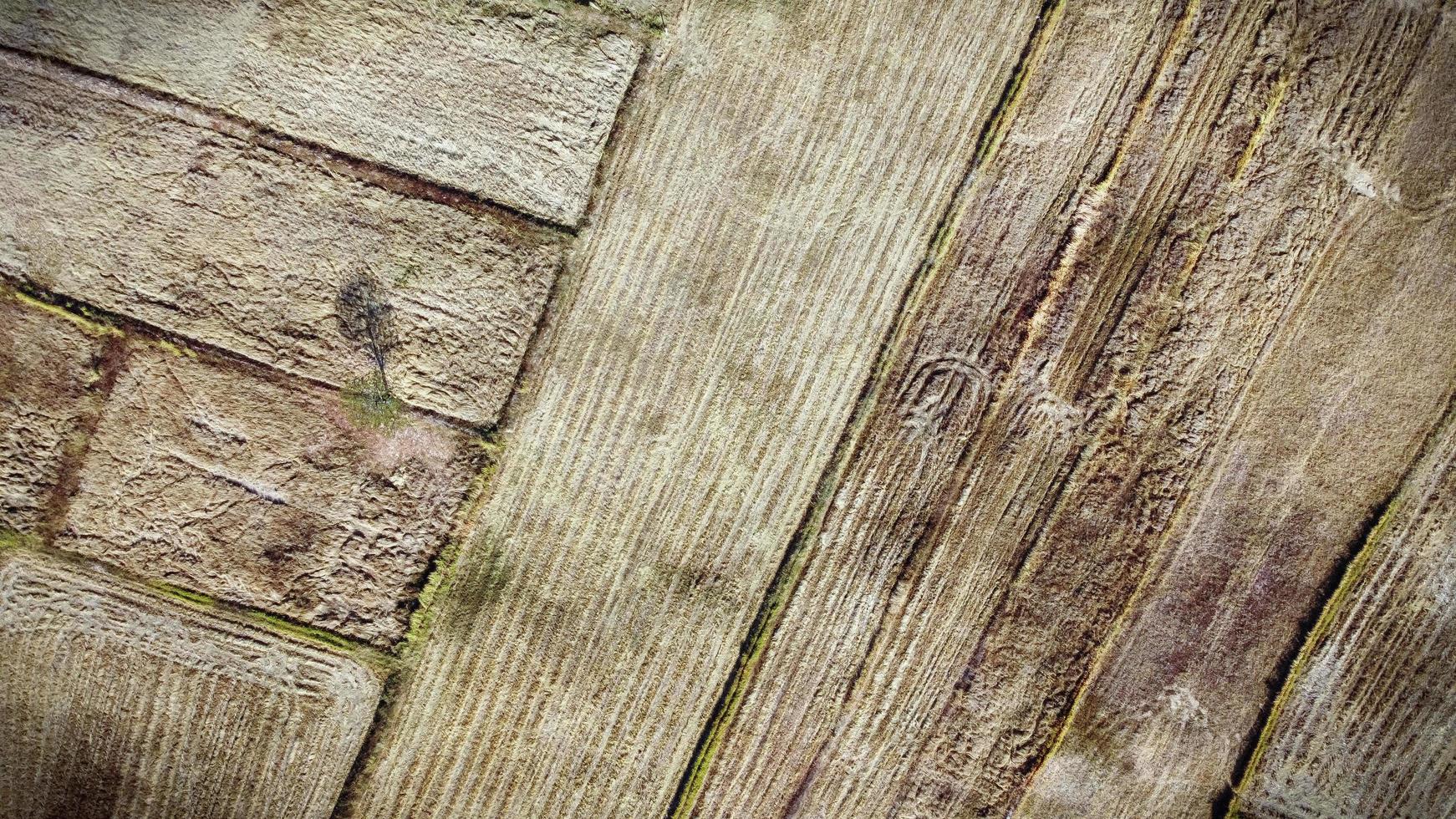 vue aérienne, parcelle agricole, conditions de sécheresse après la saison des récoltes, photographie par drone. photo