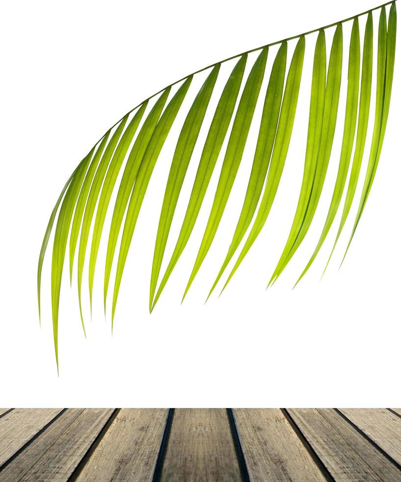 feuille de palmier avec table en bois photo
