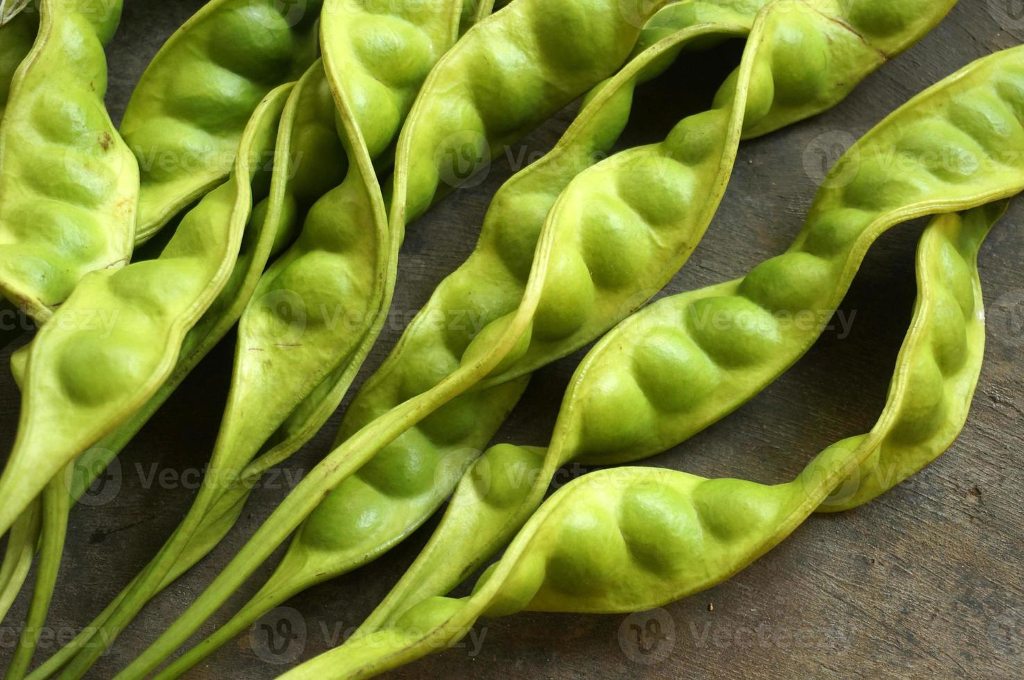 haricot puant, haricot malodorant ou les indonésiens l'appelaient petai ou pete. photo