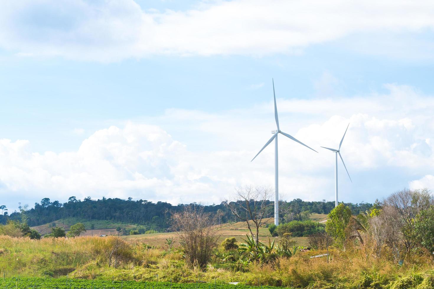 éoliennes à la campagne photo