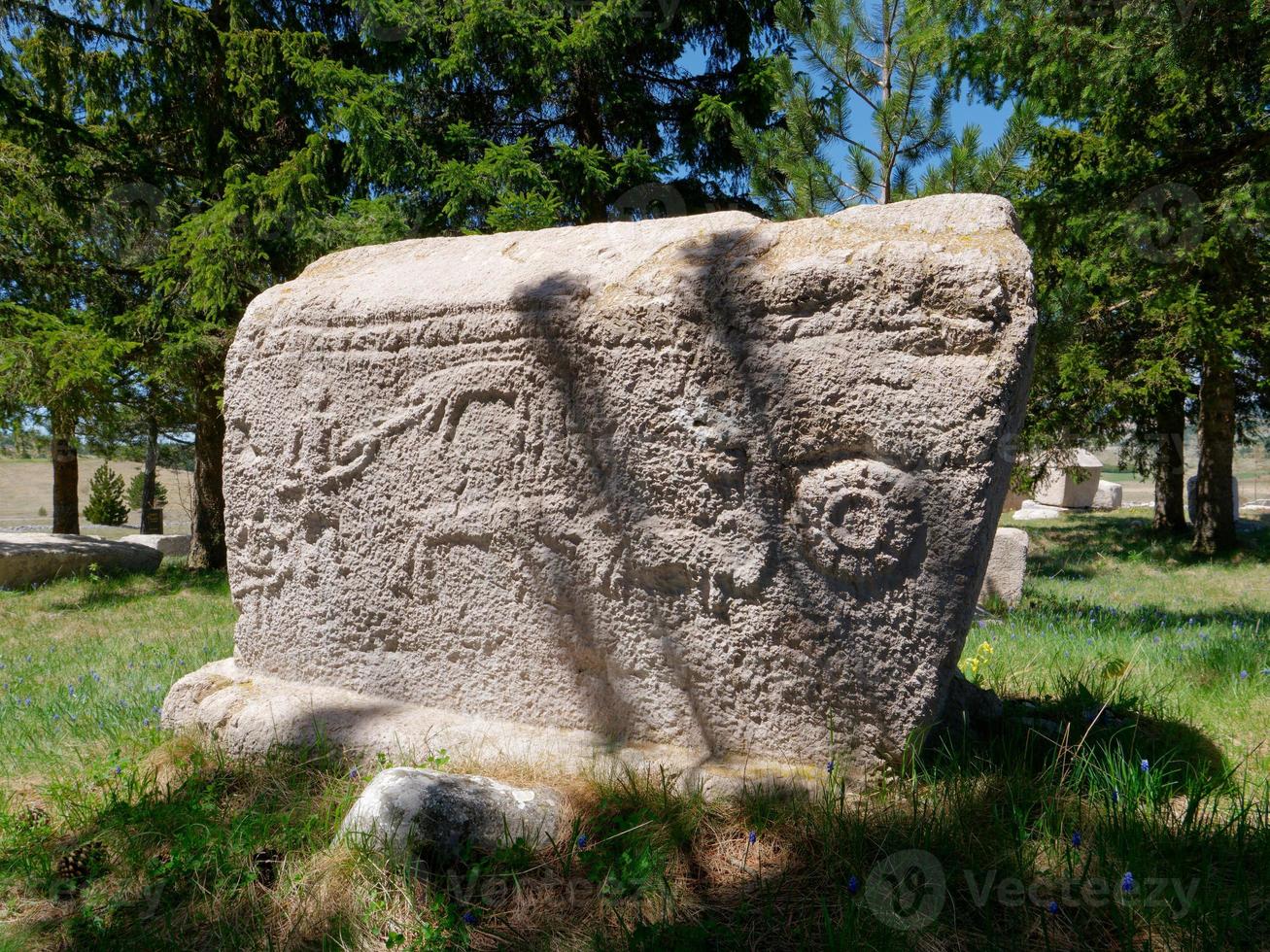 stecci médiéval pierres tombales cimetières risovac dans blidinje, bih. unesco placer. historique endroit de intérêt. le pierres tombales fonctionnalité une large intervalle de décoratif motifs et les inscriptions. photo