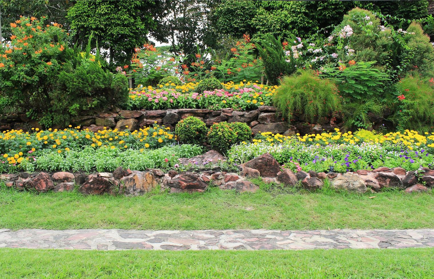 parterres colorés et chemin photo