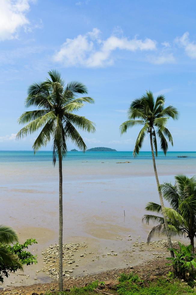 plage d'été en thaïlande photo