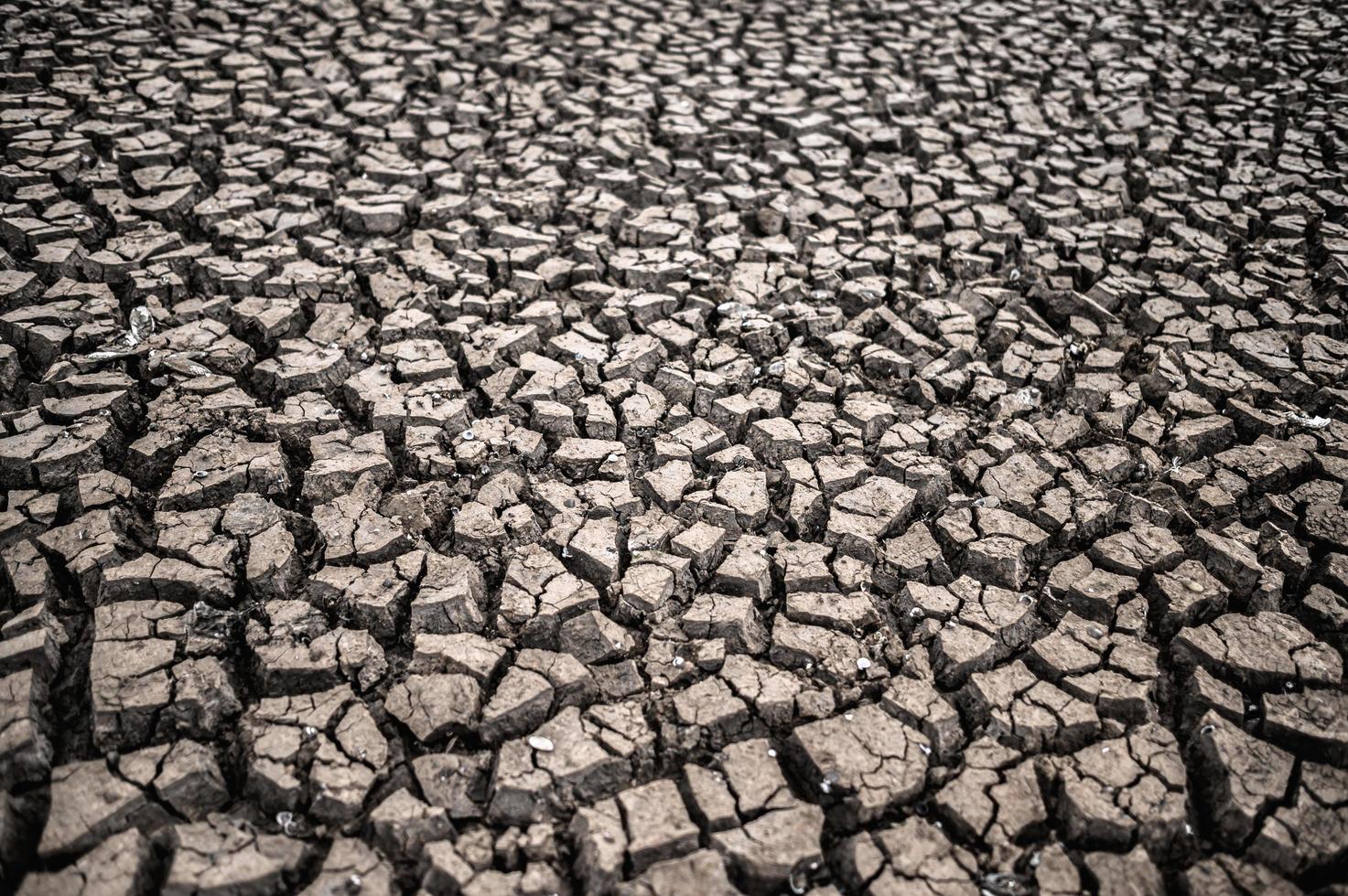 terre aride au sol sec et craquelé photo