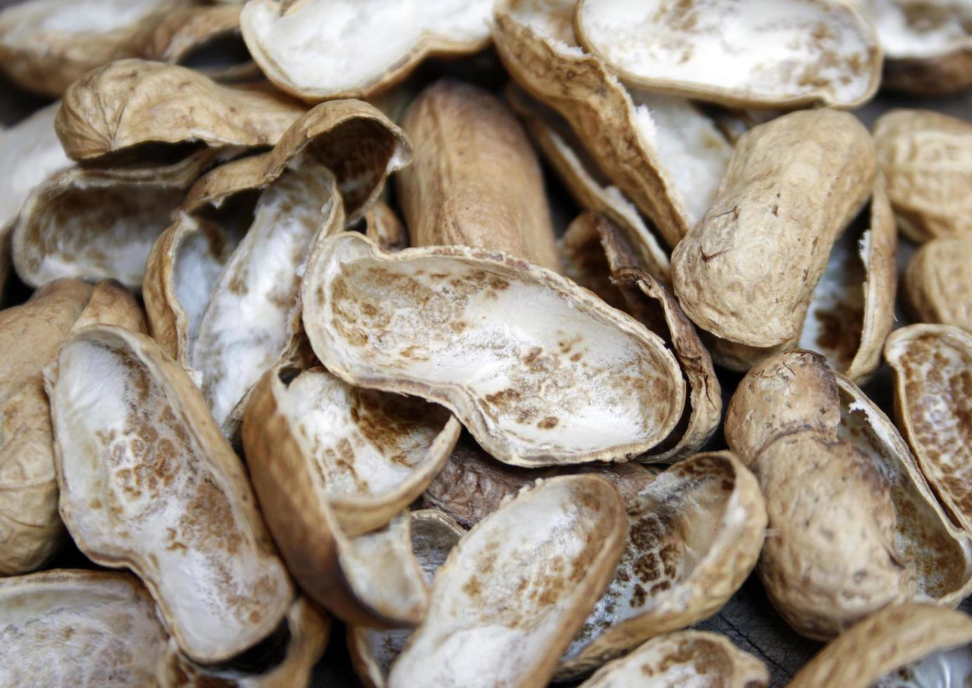 coquilles d'arachide vides photo