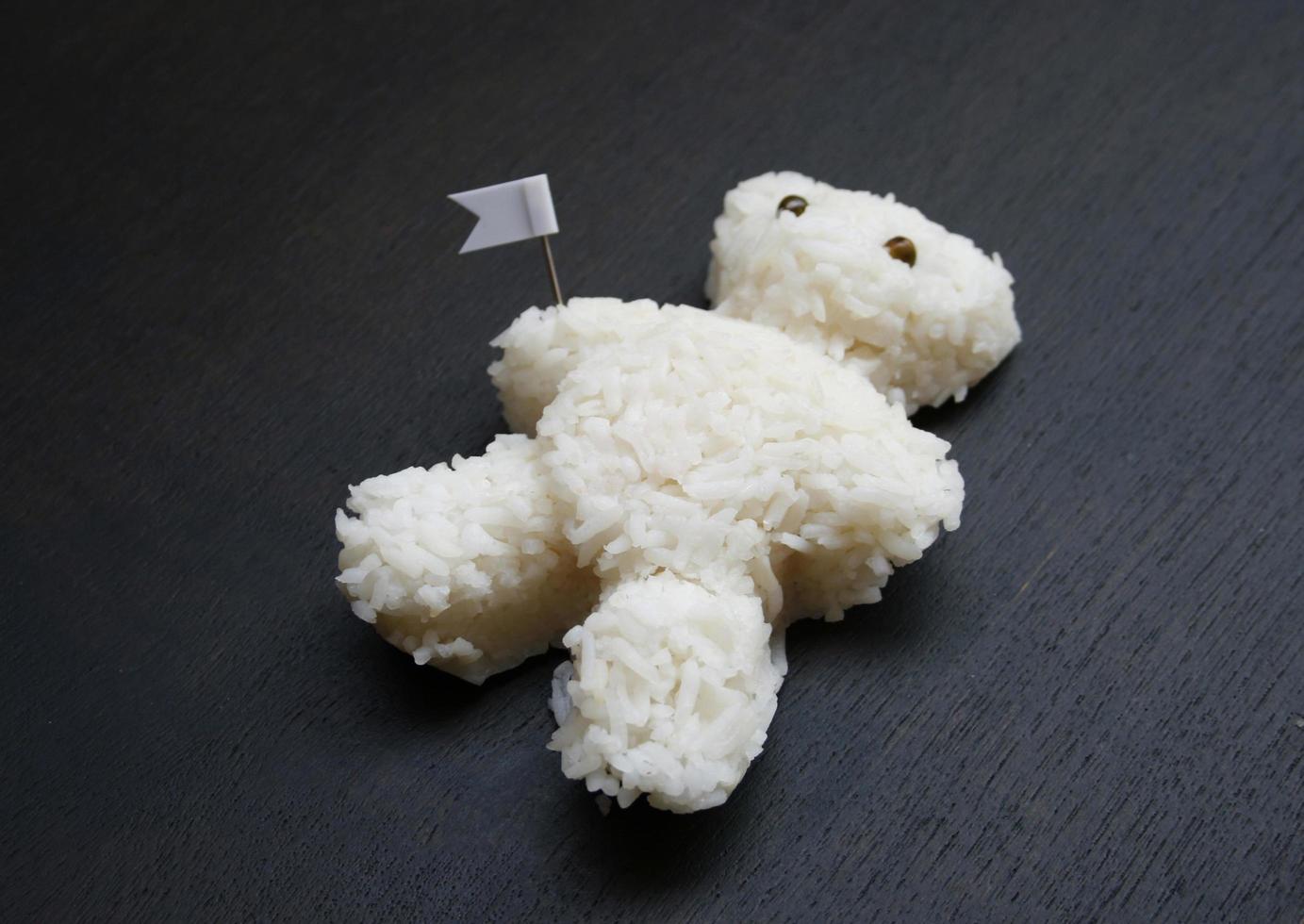 riz en forme d'ours photo