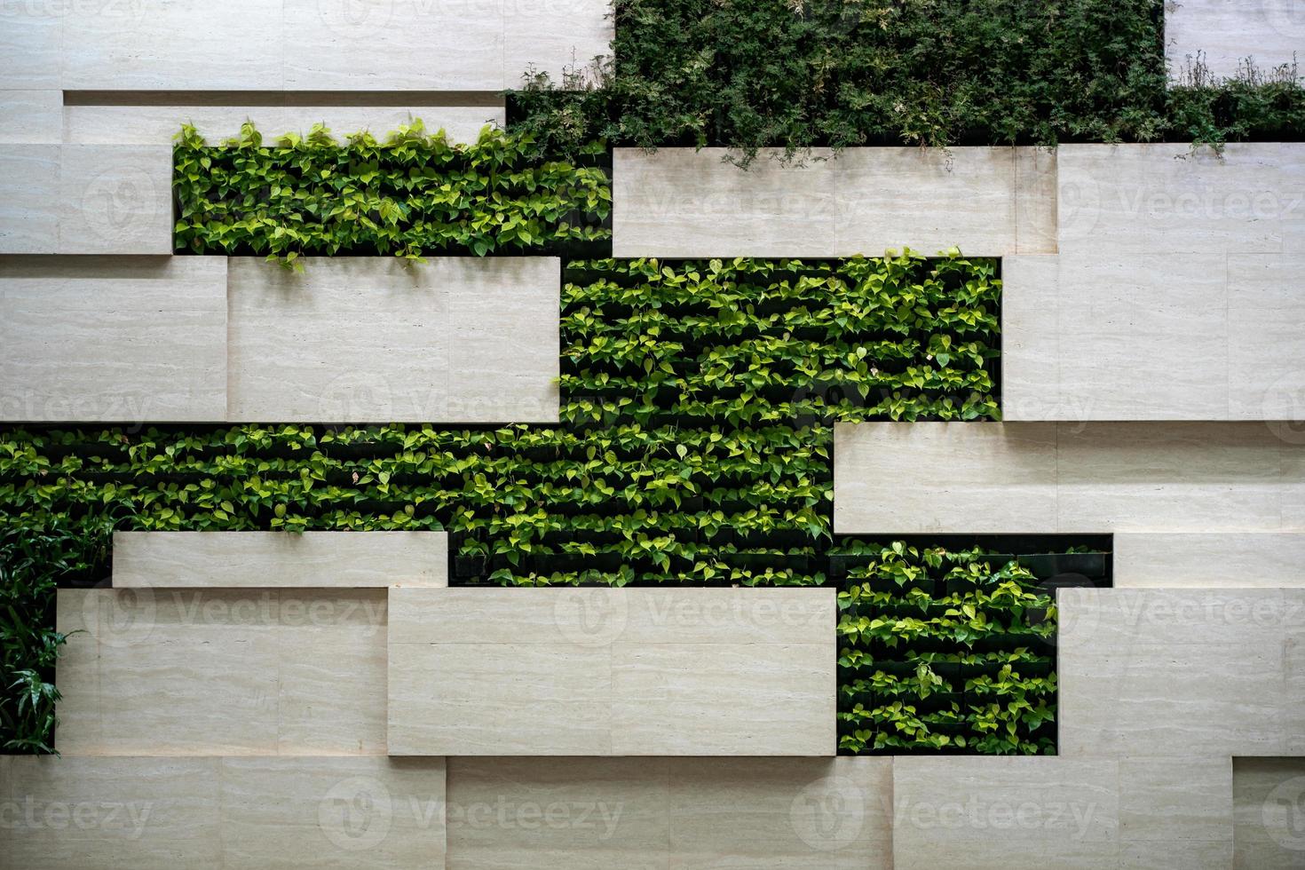 mur dans moderne intérieur avec blocs et verticale jardin. photo