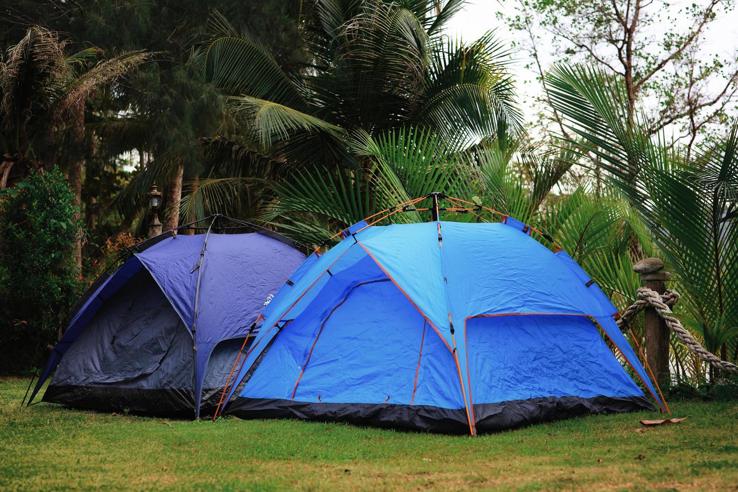 Close up de tentes camping sur une cour verte photo
