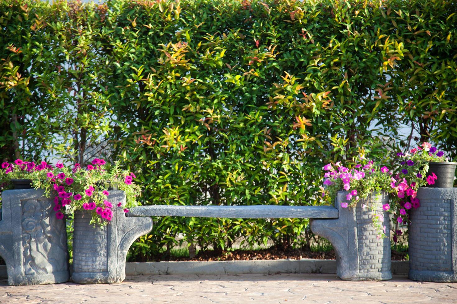 banc dans le parc photo