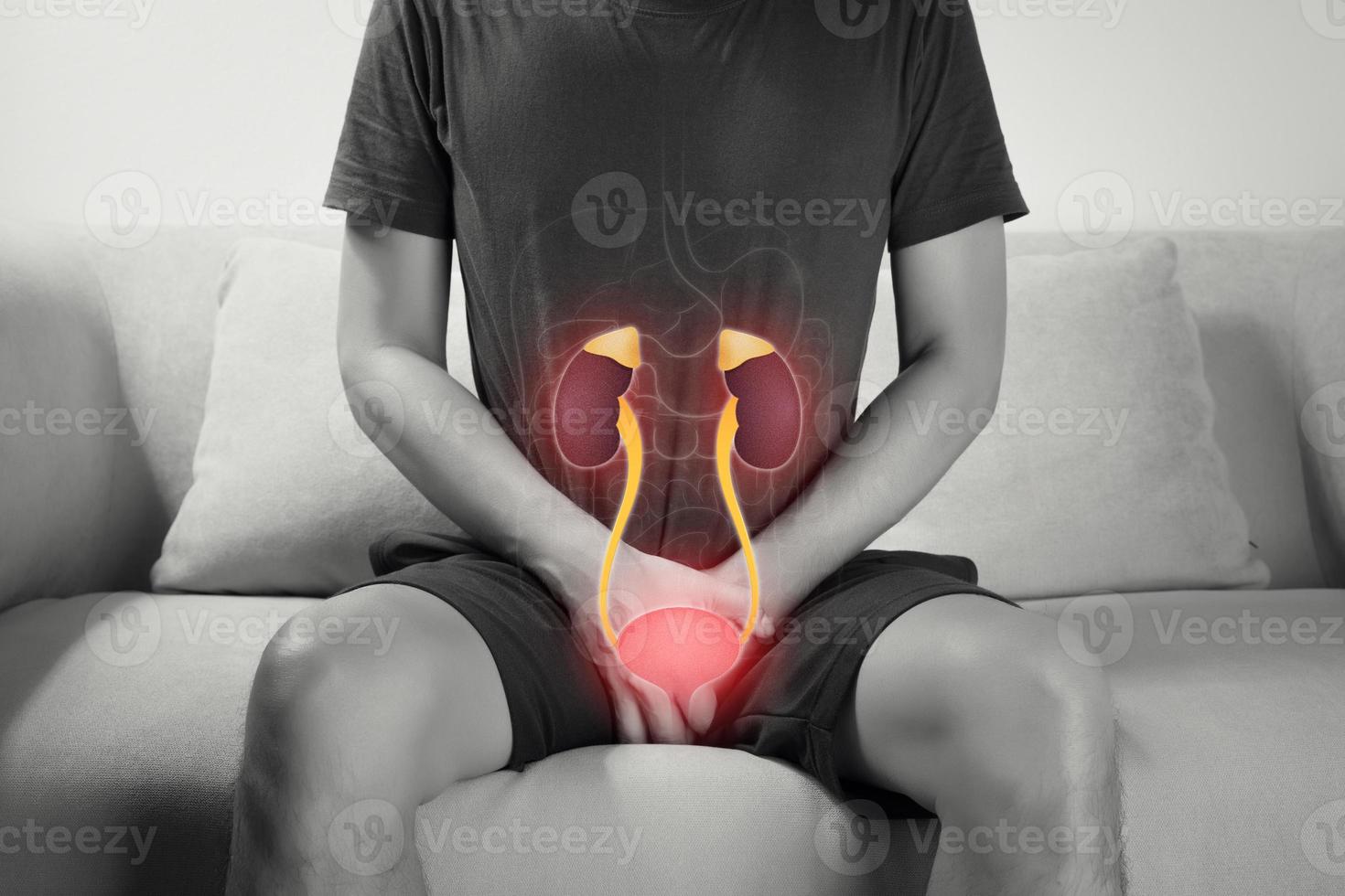 urètre et reins, une homme avec mains en portant sa entrejambe. Masculin anatomie concept. photo