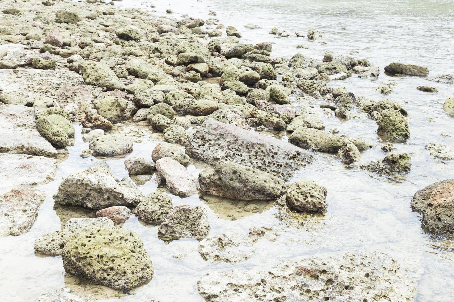 petits rochers au bord de la mer photo