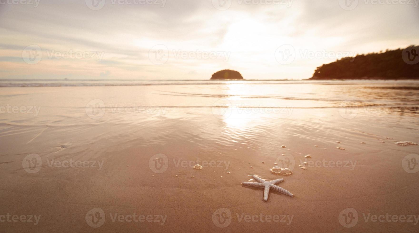 étoile de mer plage mer et le sable été montagnes Contexte. photo