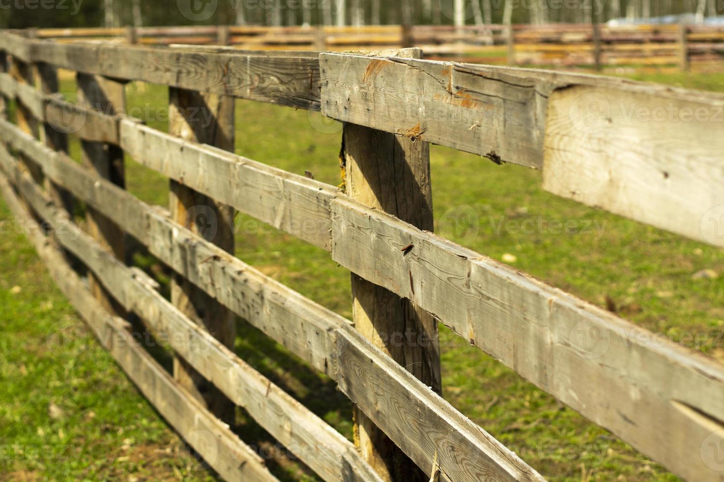 clôture en bois à la ferme. une haie de planches en été. photo