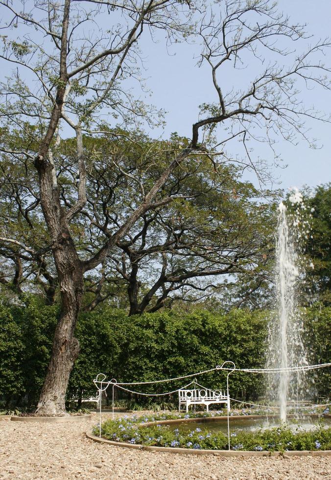 fontaine dans un jardin photo