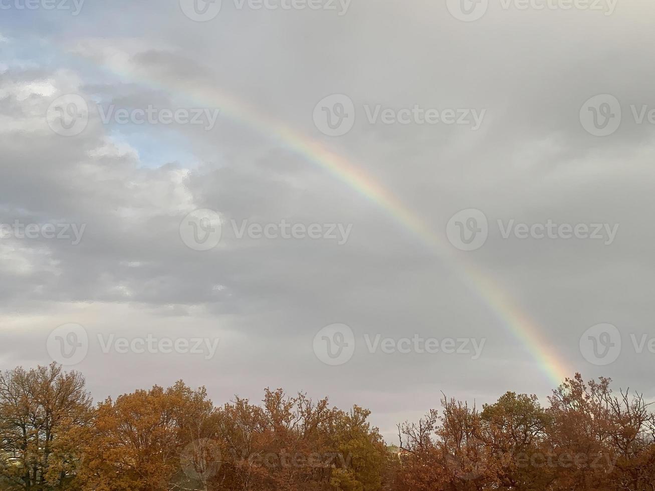 arc en ciel dans une forêt dans l'automne saison. il est nuageux, calme après le pluie. photo