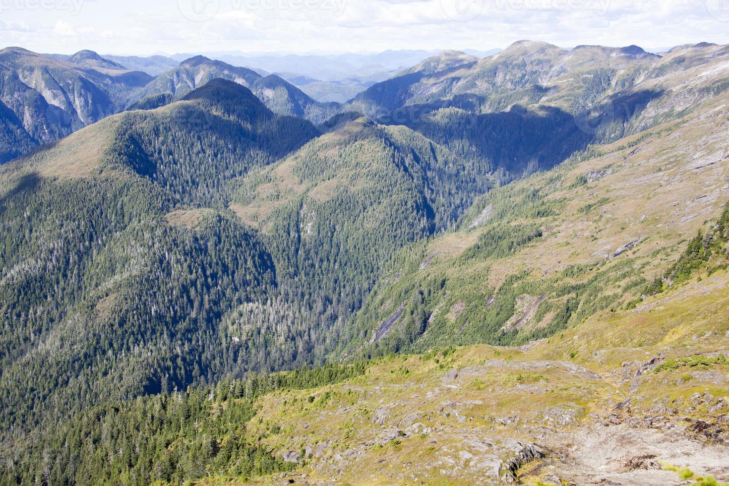 le vue de cerf monter à l'extérieur ketchikan ville photo