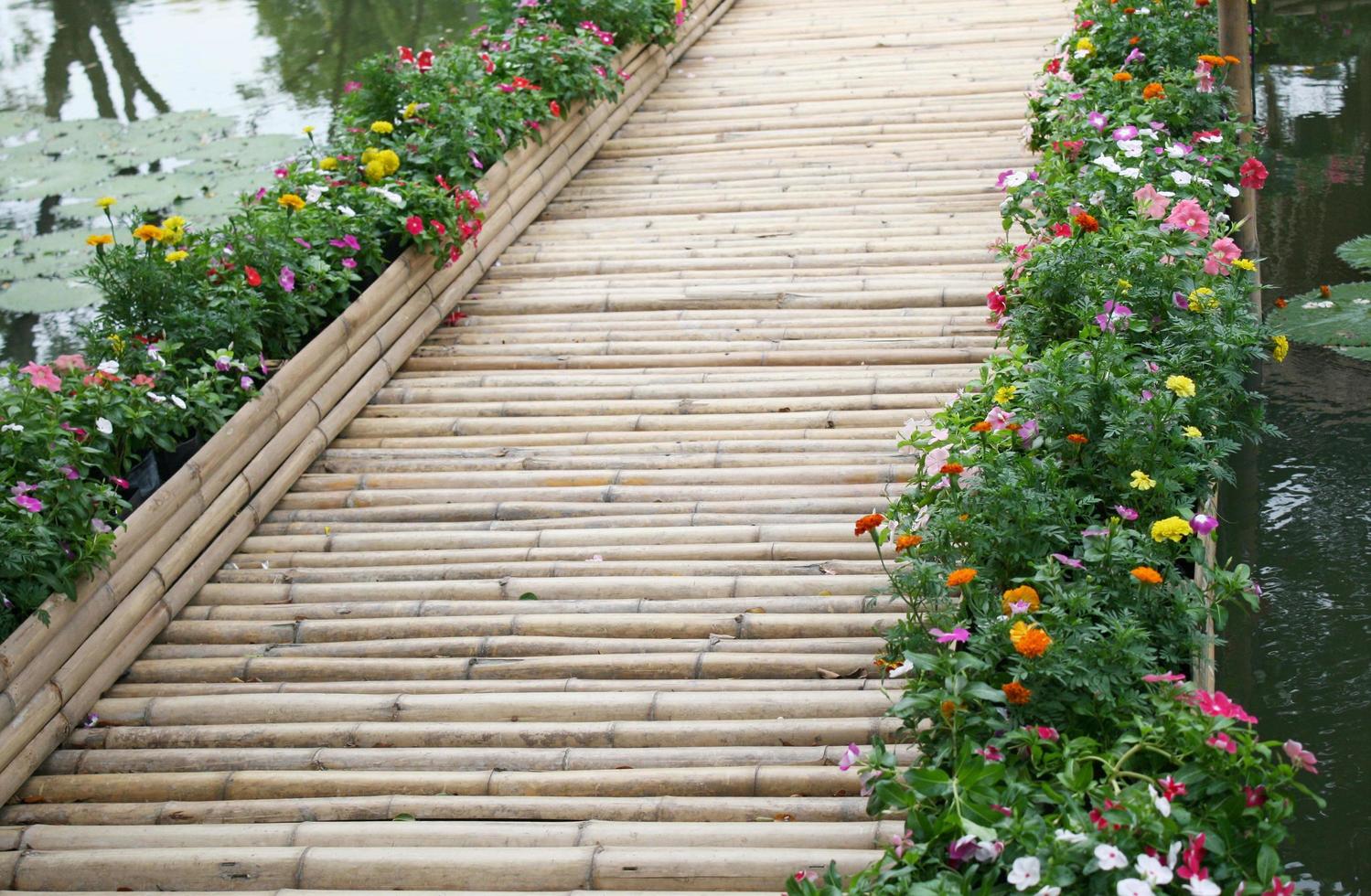 pont de bambou avec des fleurs photo