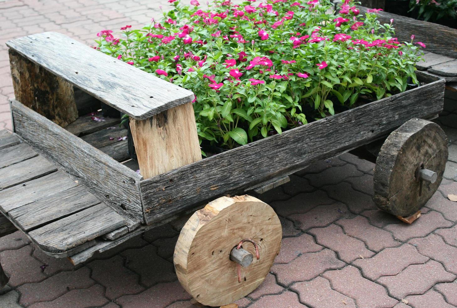 fleurs en wagon photo