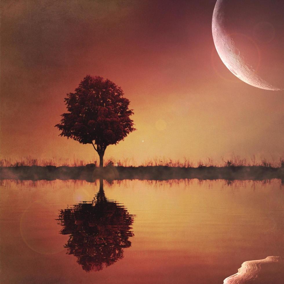 reflet de l'arbre avec une grande lune composite photo