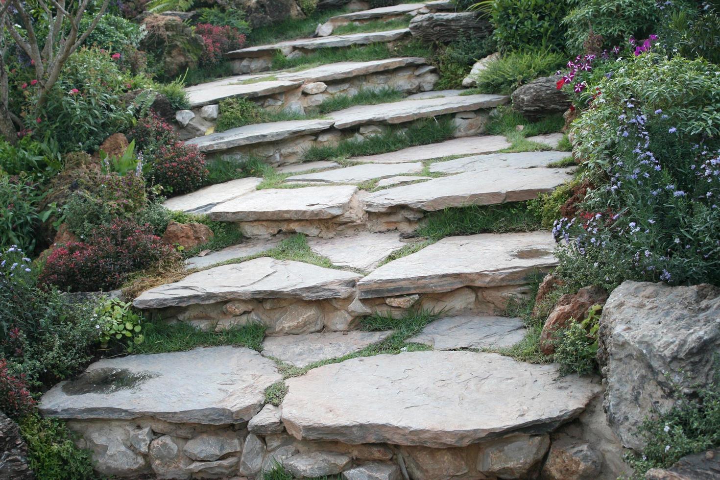 escaliers dans un jardin photo