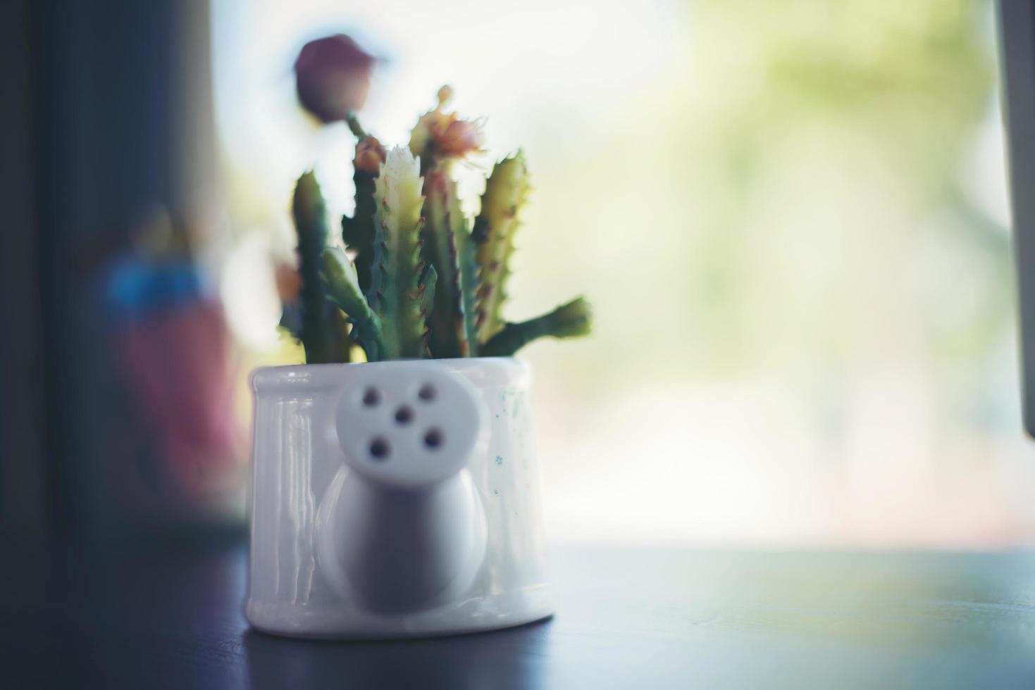 La vie encore des plantes en bois de cactus photo