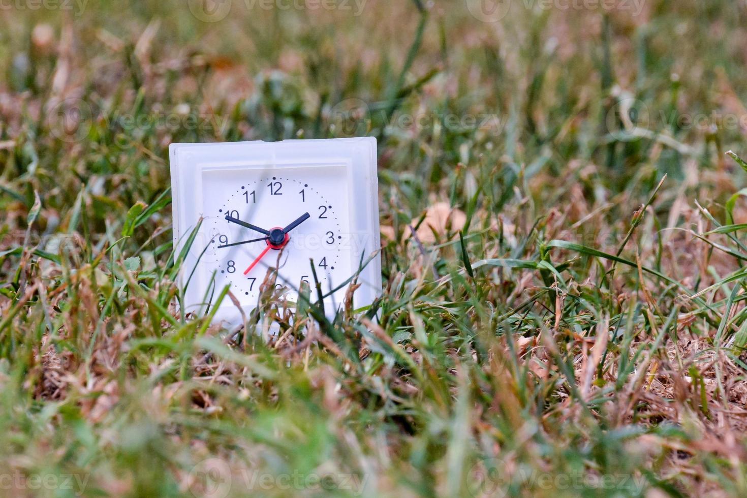 l'horloge dans le herbe photo