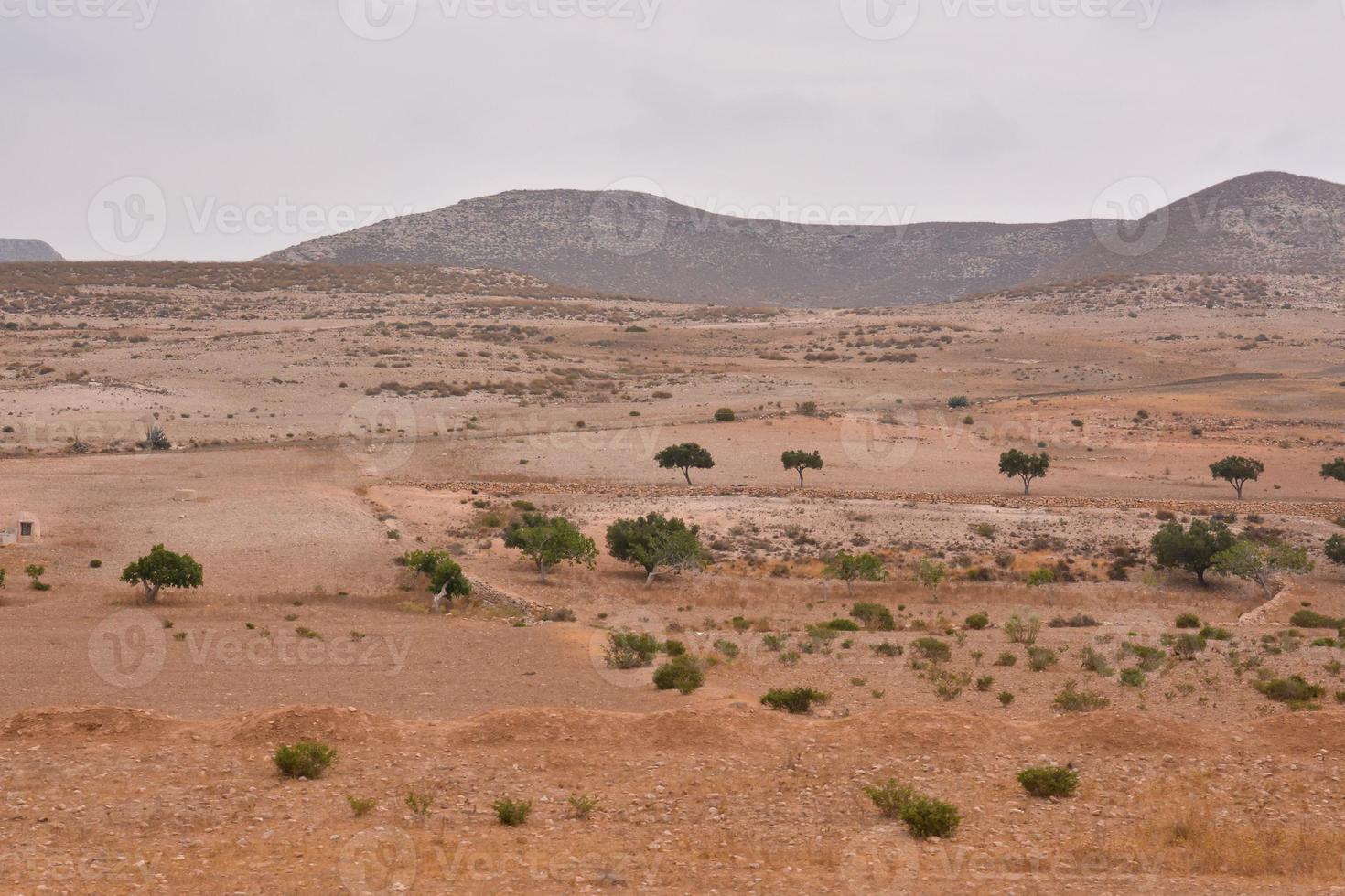 vue panoramique sur le désert photo