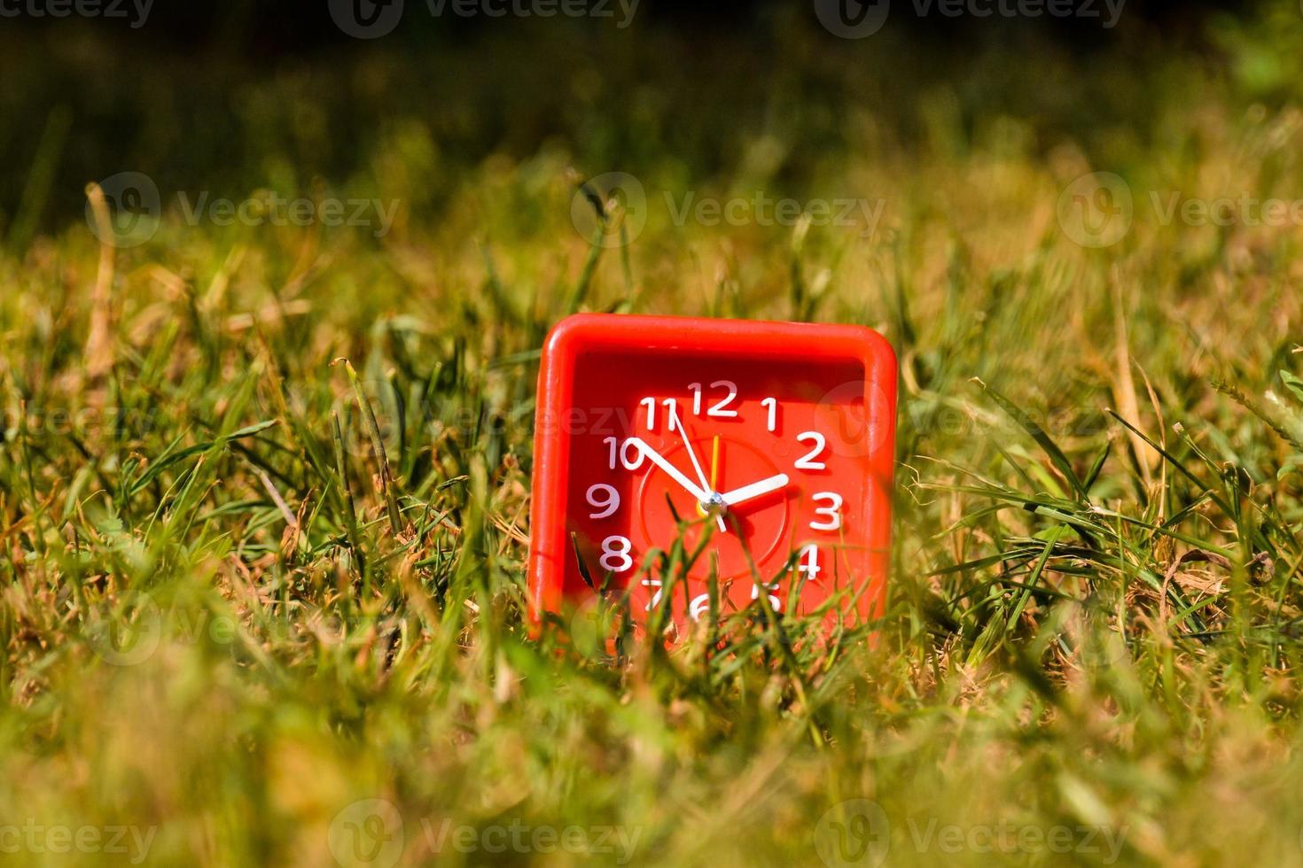 l'horloge dans le herbe photo