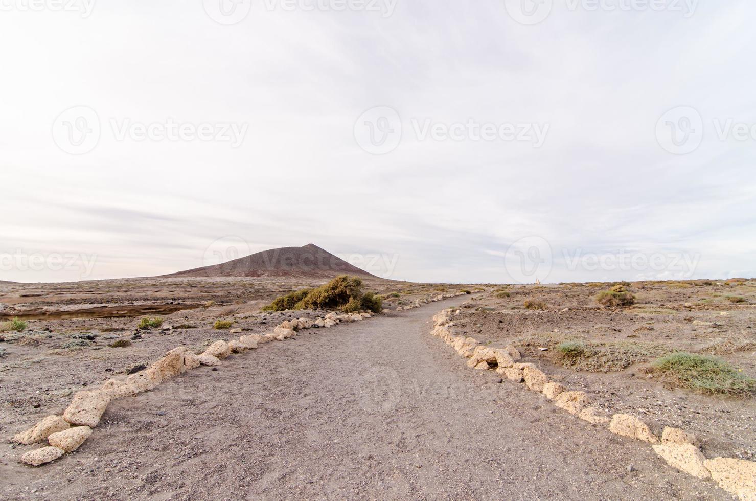 chemin par le scénique paysage photo