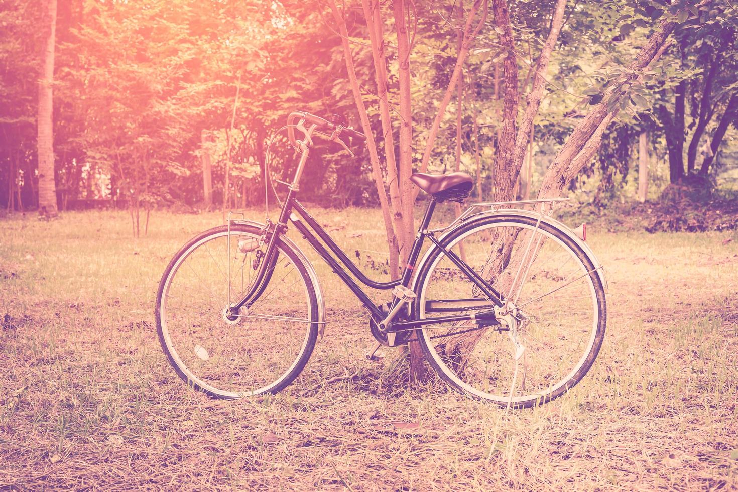 ancien vélo dans jardin avec lumière du soleil. photo