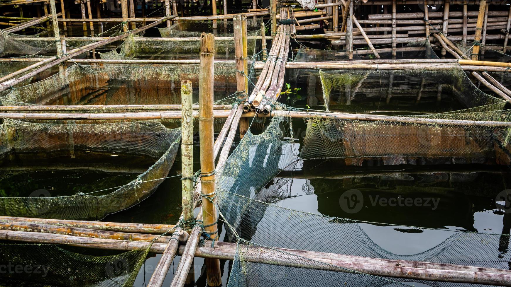 ferme piscicole traditionnelle dans le lac tondano en bambou photo
