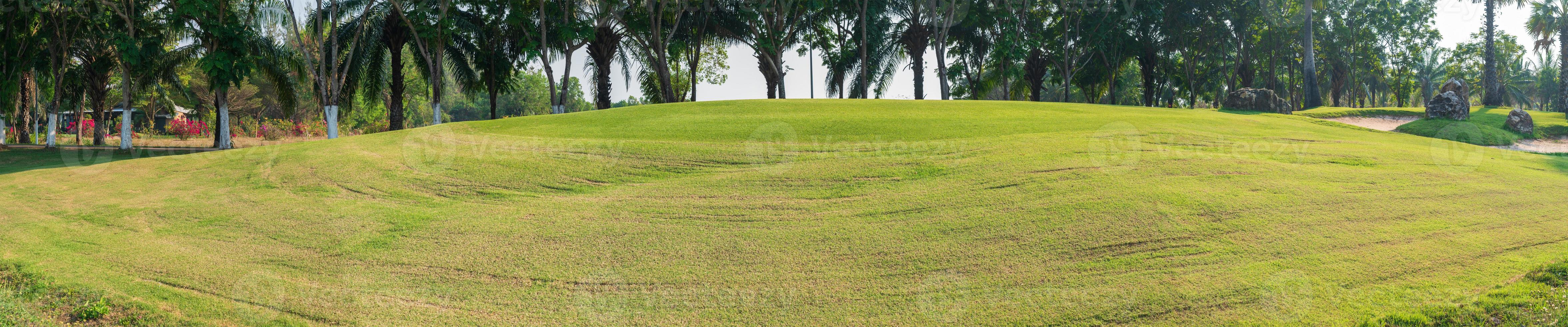 panorama vert herbe sur le golf champ photo