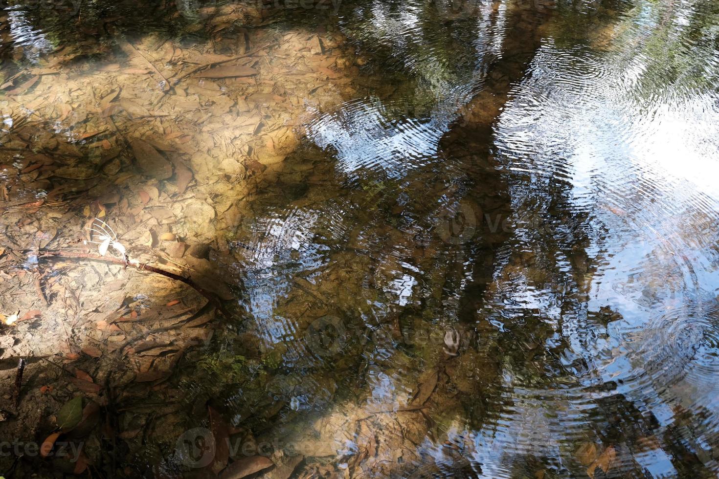 ondulations sur le surface de l'eau dans le étang. photo