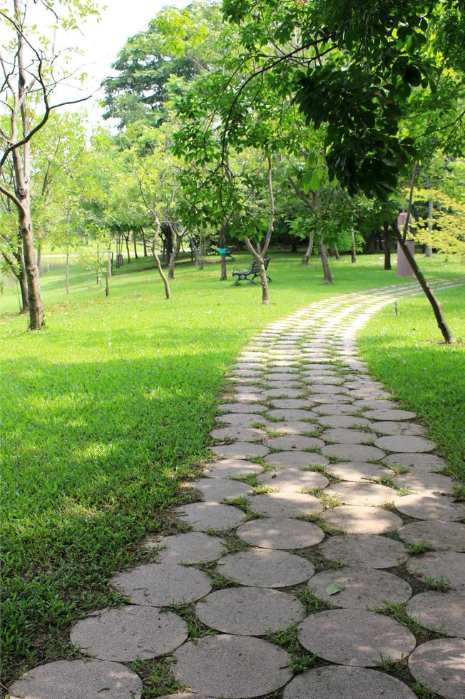 chemin dans un parc photo