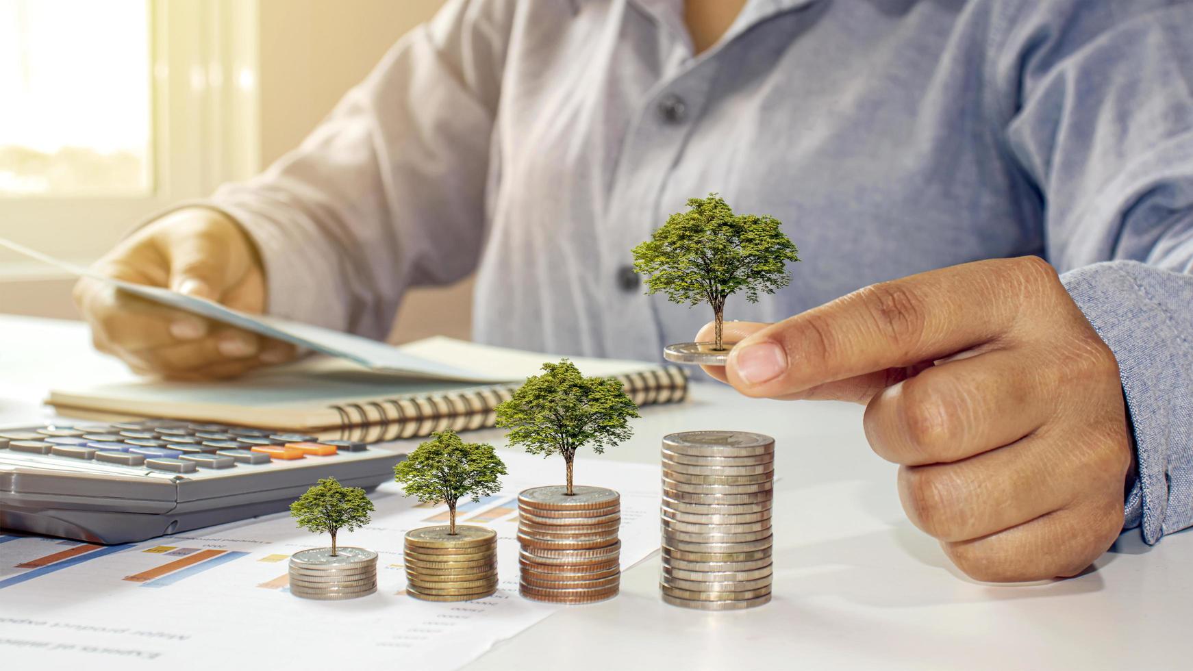 homme d'affaires plantant des arbres pour de l'argent tout en examinant des documents de comptabilité financière, des idées d'économie d'argent et des investissements futurs photo
