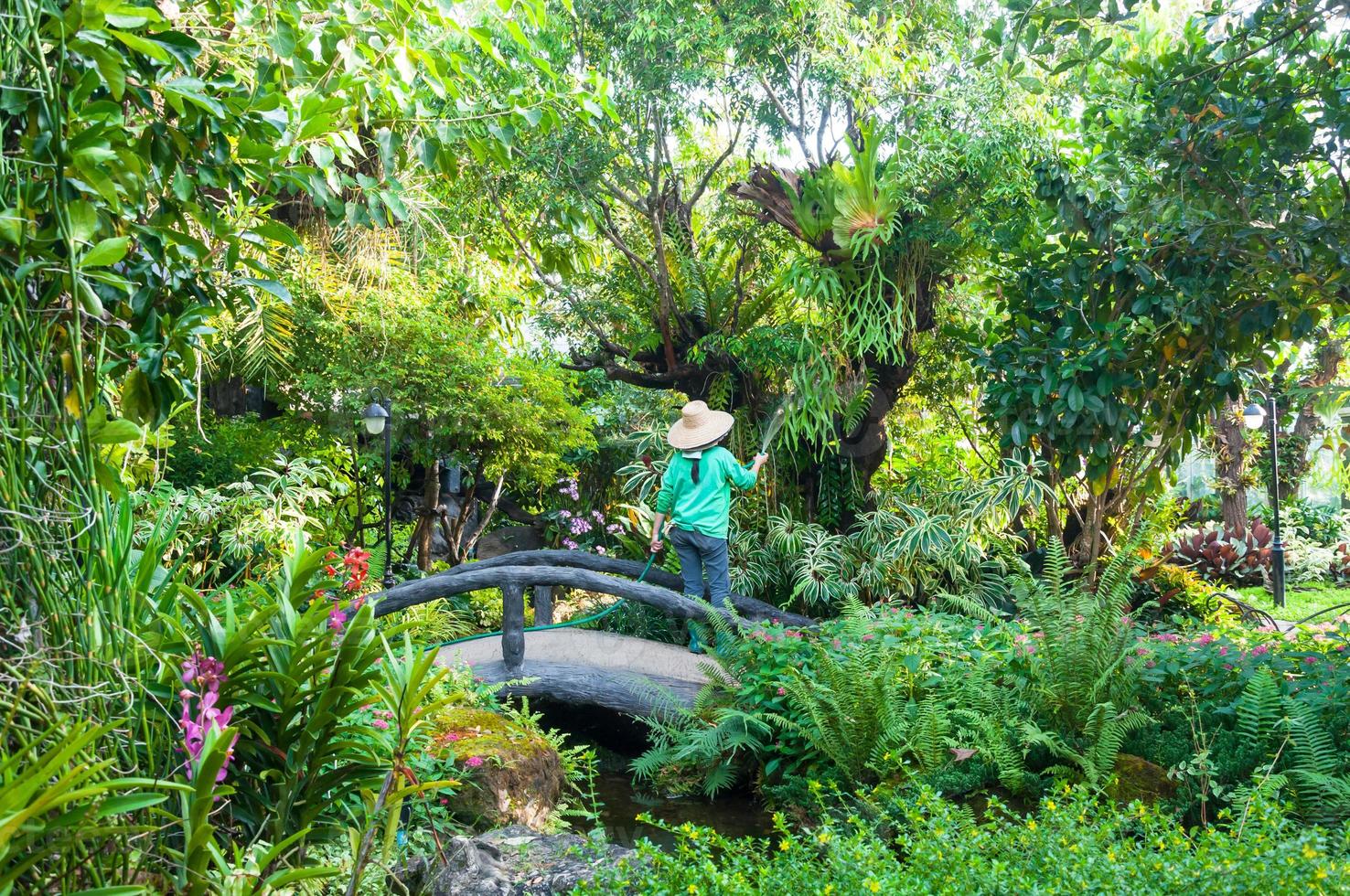 jardinier femme détient le arroseur tuyau pour les plantes arrosage le fleurs jardin Extérieur photo