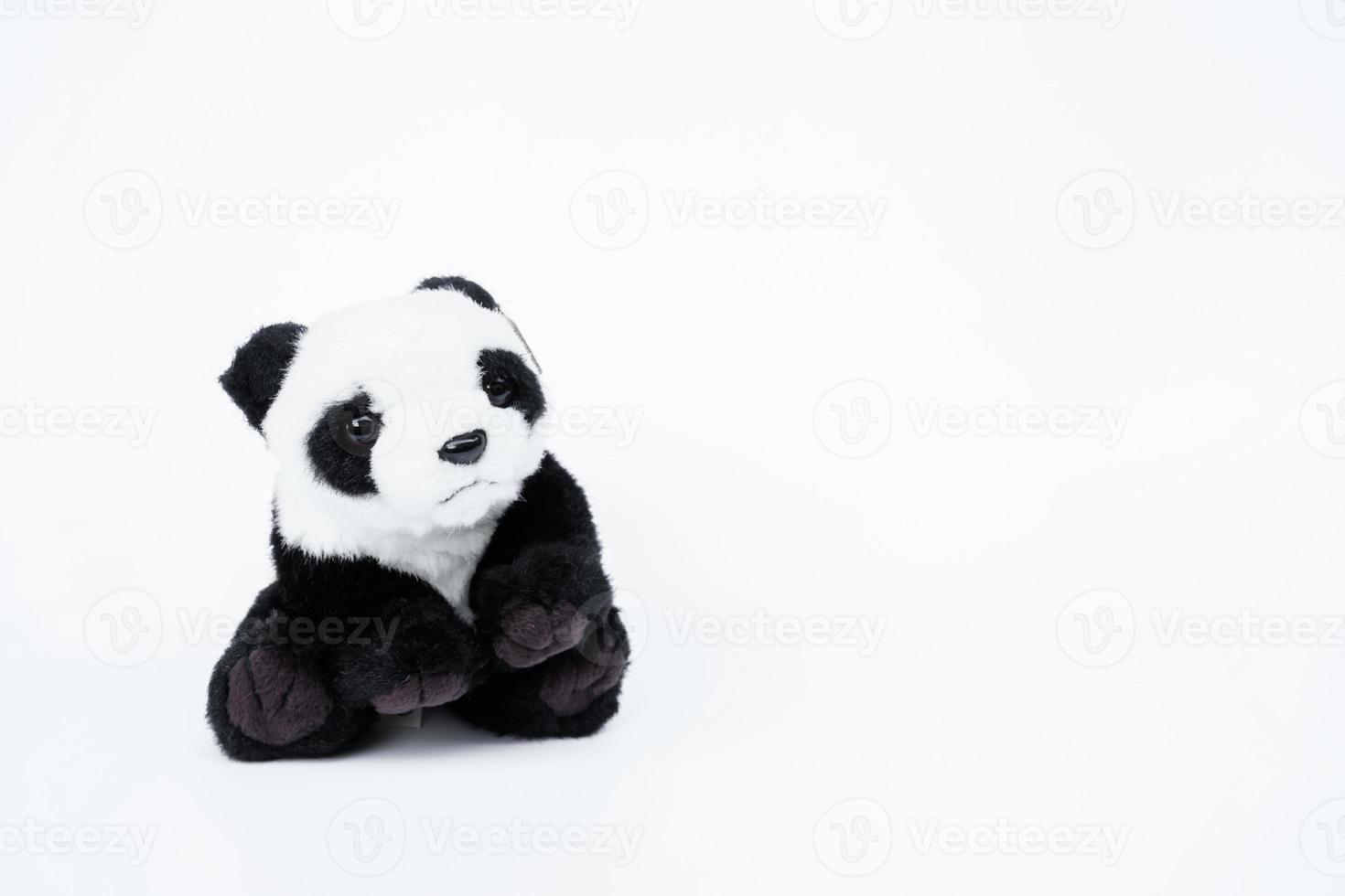 Panda poupée noir et blanc, noir jante de yeux, panda jouet pour enfant sur blanc Contexte photo