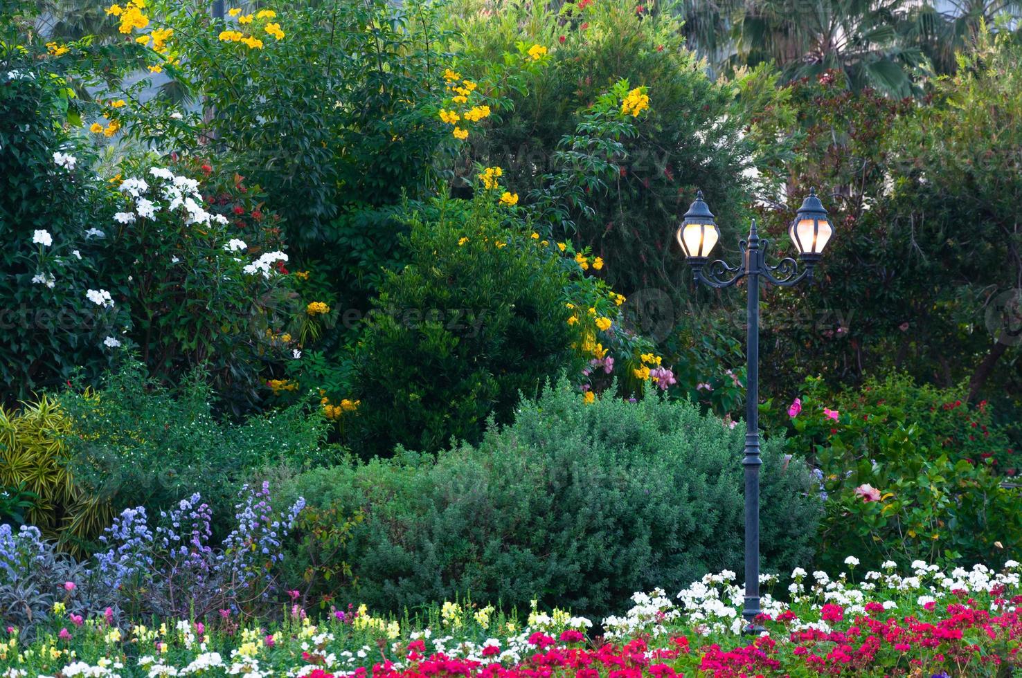 rue éclairage de lanternes dans parc fleurs photo