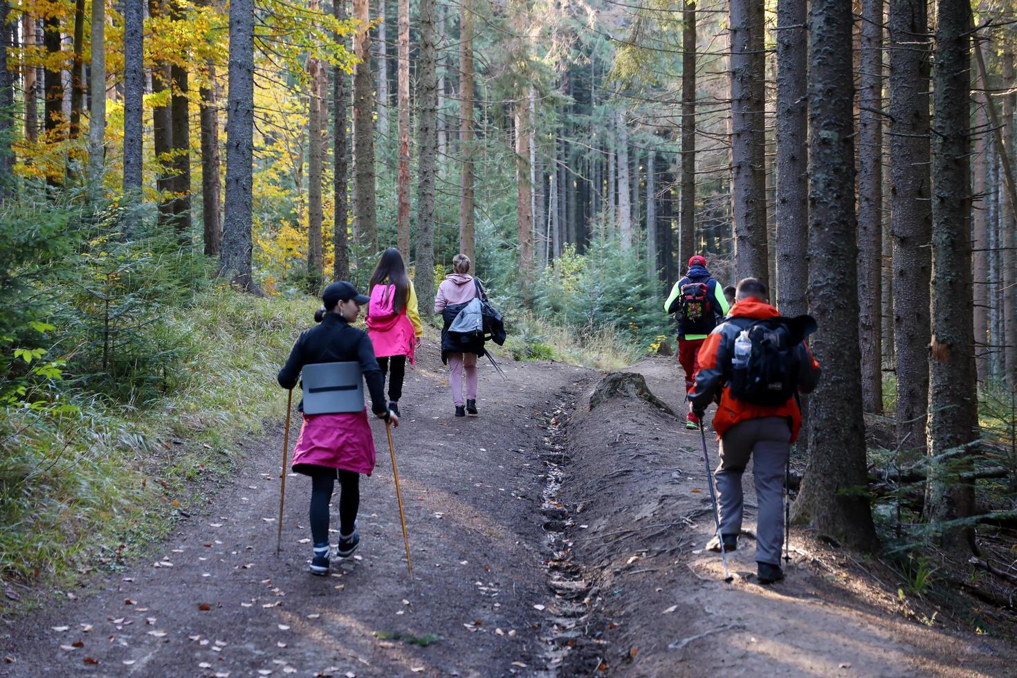 carpates, ukraine - 8 octobre 2022 mont hoverla. carpates en ukraine en automne photo