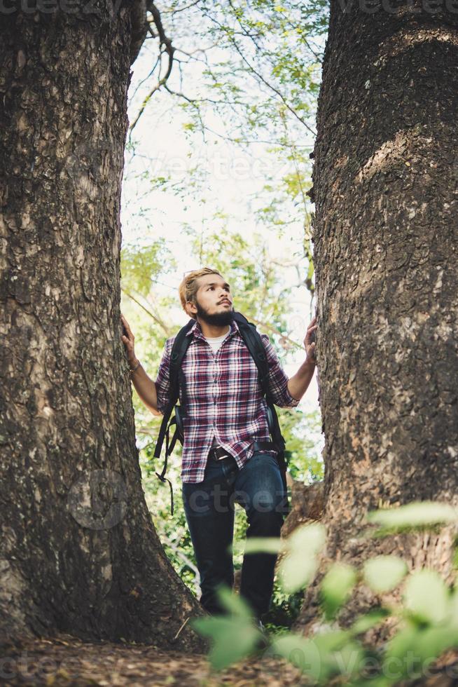 homme randonnée dans la forêt photo