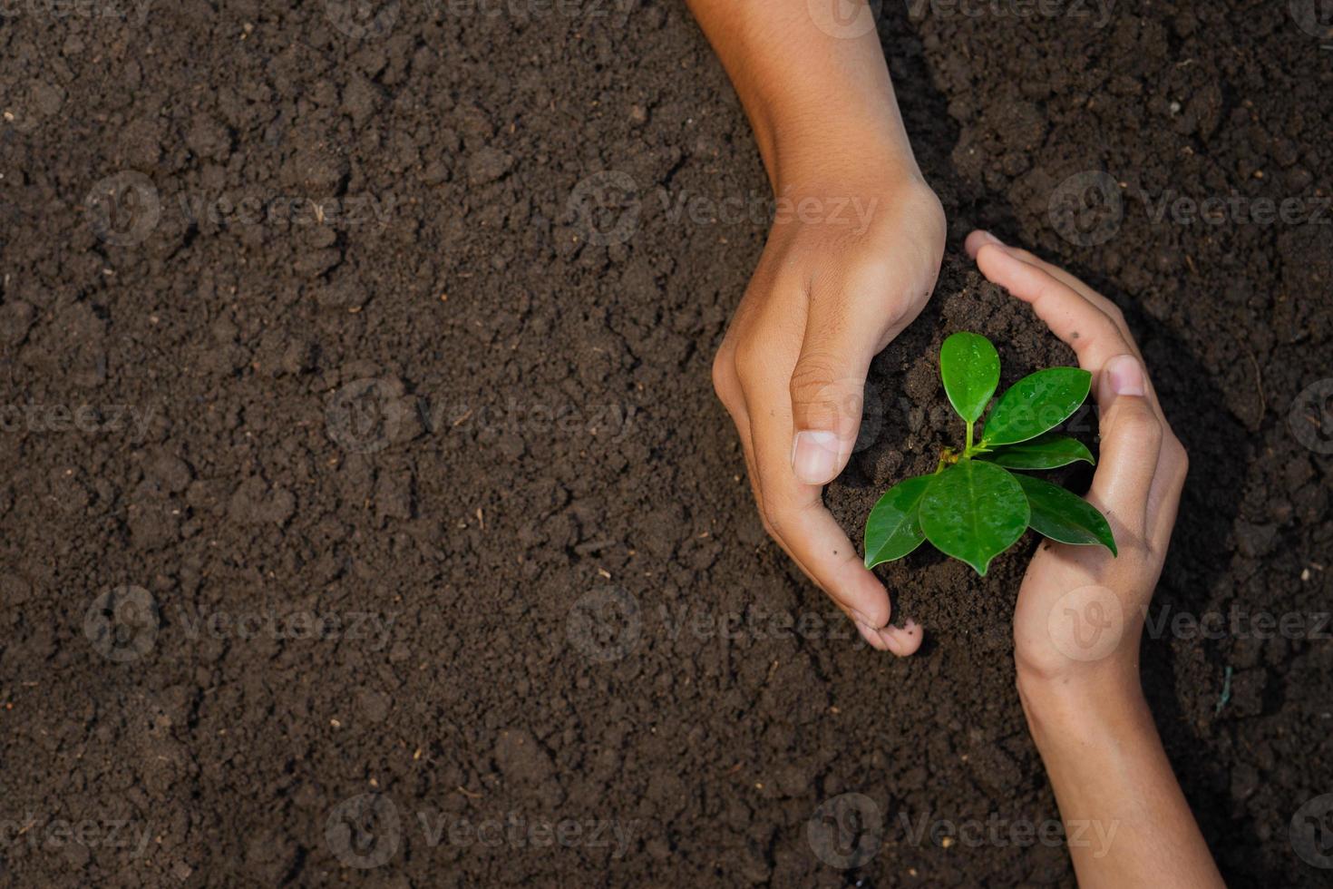 deux Les agriculteurs prendre se soucier de plante des graines photo