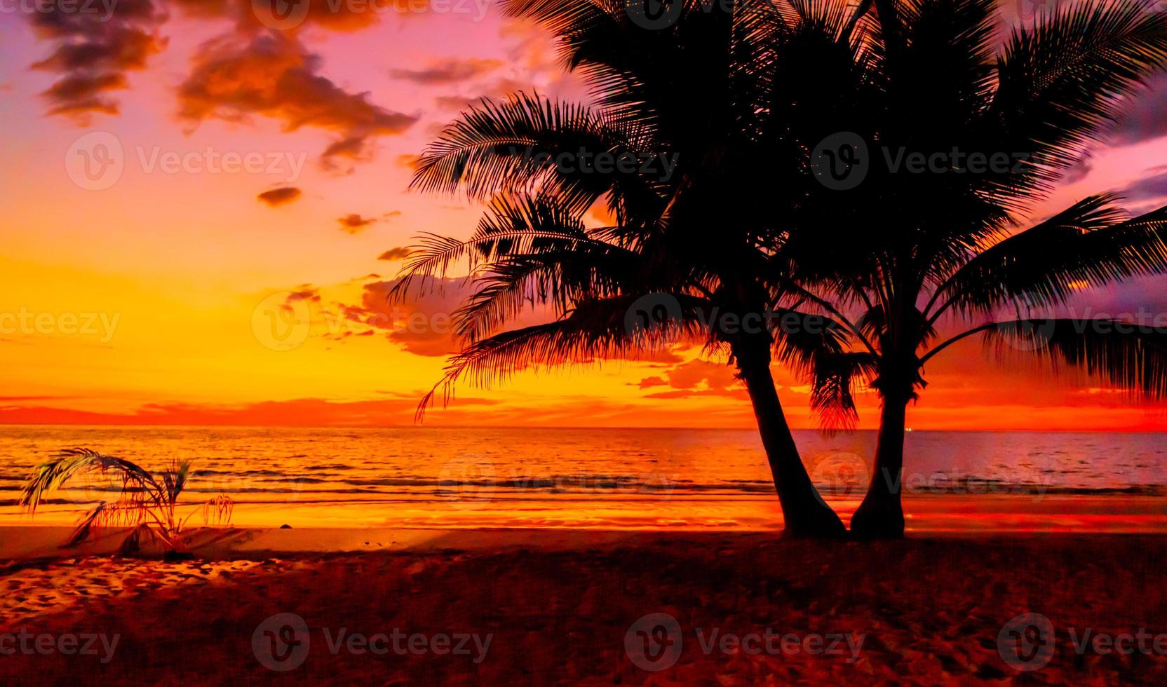 silhouette de paume des arbres magnifique le coucher du soleil sur le tropical mer plage sur la nature rose Contexte pour Voyage dans vacances se détendre temps, photo