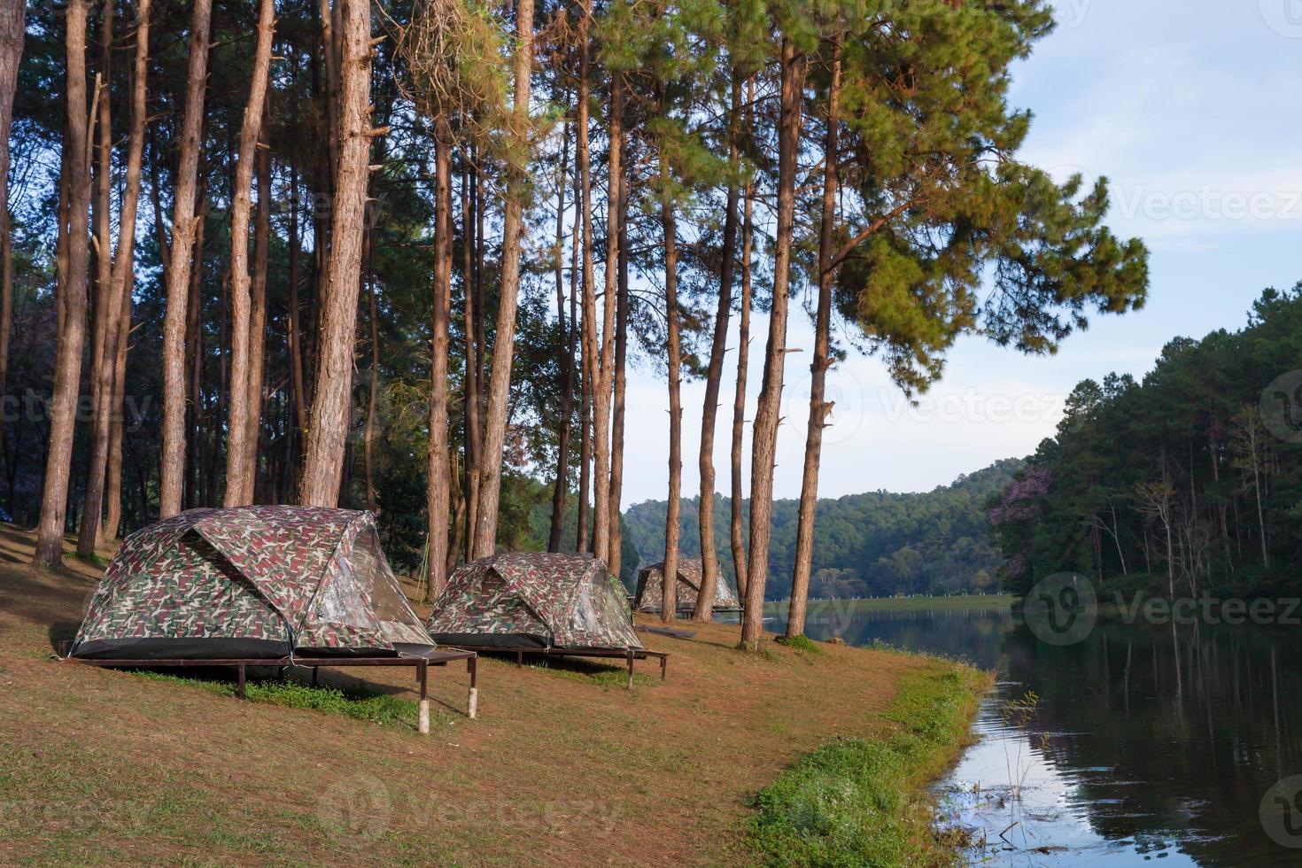 tentes de camping avec arbre près de l & # 39; eau photo