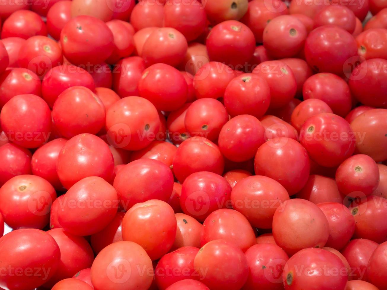 petites tomates rouges photo