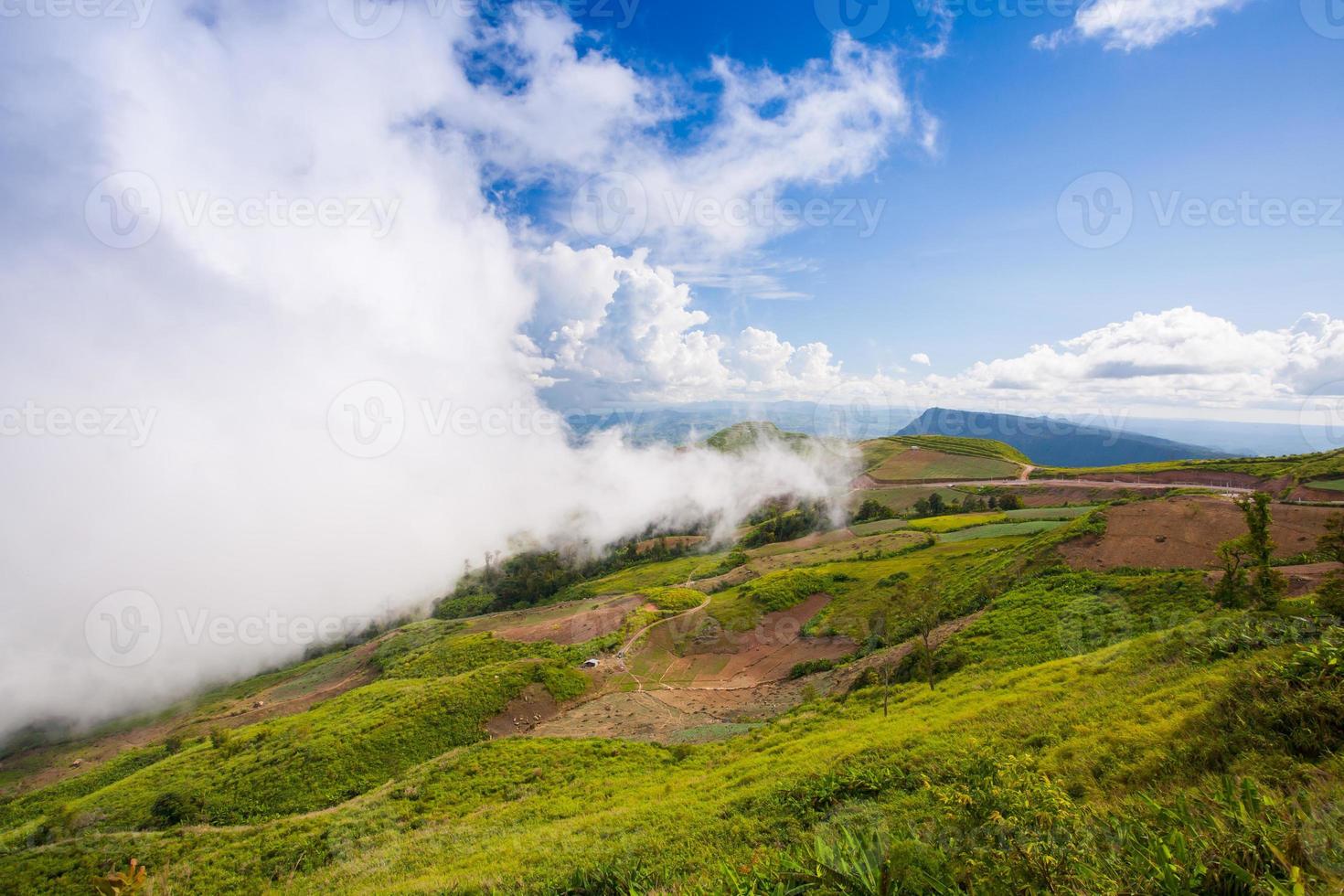 brouillard couvrant une colline photo