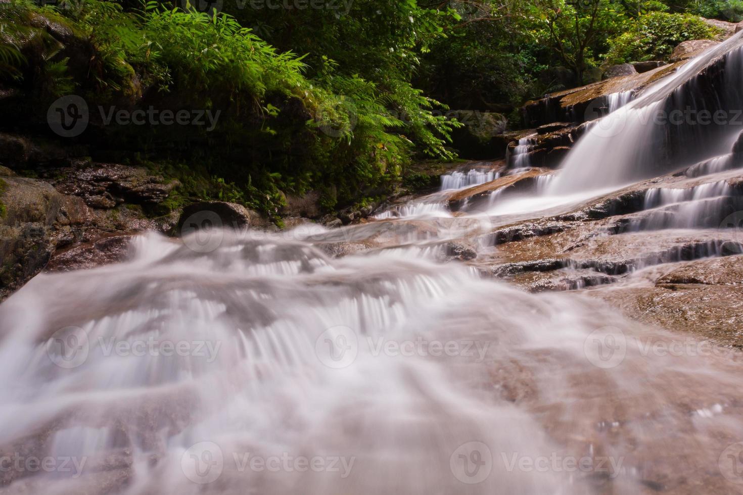 gros plan d'une cascade photo